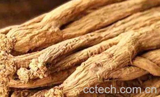 党参根的功效与作用及禁忌-0