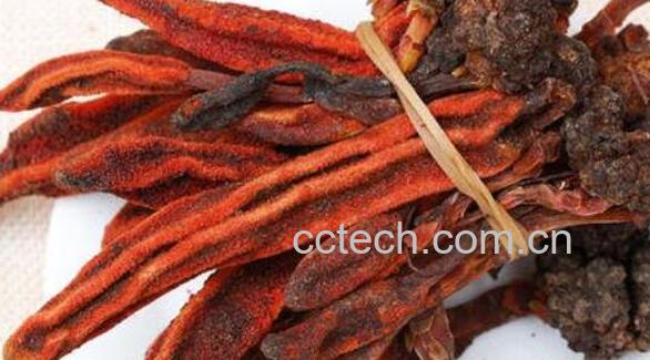 不老草和什么泡酒最好 不老草泡酒有什么禁忌-1