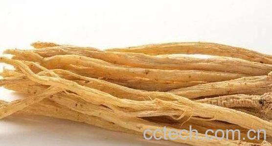 党参根的功效与作用 党参的根能不能吃-0