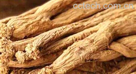 党参根的功效与作用 党参的根能不能吃-1