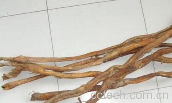 牦牛鞭怎么吃 牦牛鞭的食用方法-1