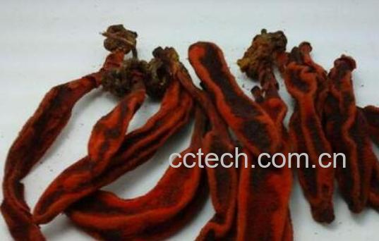 回春草泡酒怎么做 回春草泡酒的制作方法-1