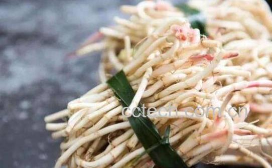 女人吃鱼腥草的好处和坏处-1