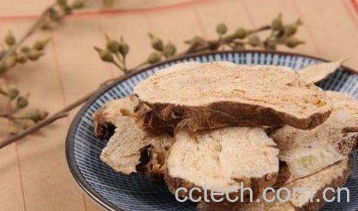 白术的功效与作用 白术的副作用-0