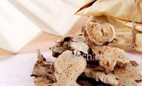 白术的功效与作用 白术的副作用-1