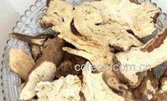 三种人坚决不能吃白术 看看哪些人不适合吃白术-0