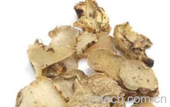 白芨的功效与作用及禁忌-0