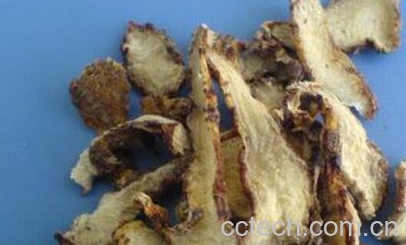 白及与白芨的区别 白及的功效与作用-0