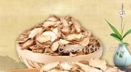 白及与白芨的区别 白及的功效与作用-1