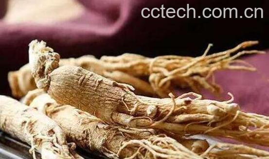  女性吃人参的禁忌 女性吃人参的好处-1