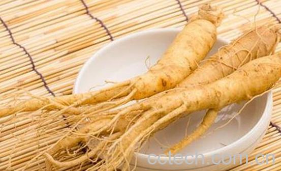  女性吃人参的禁忌 女性吃人参的好处-0