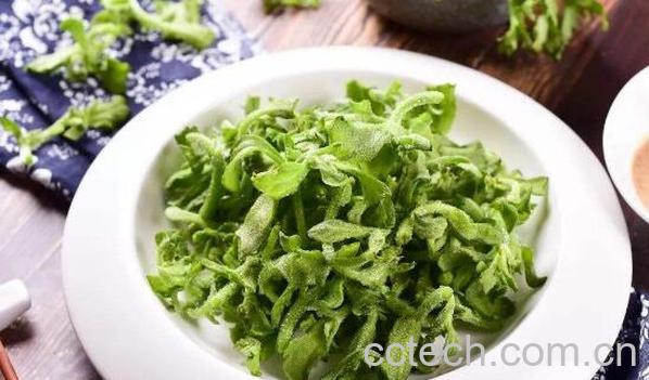 冰菜的功效与作用 冰菜的副作用-0