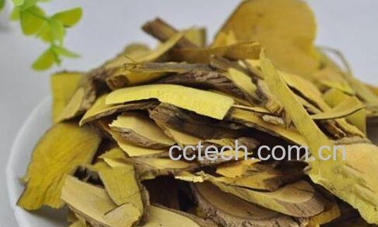 功劳木的功效与作用及禁忌-0