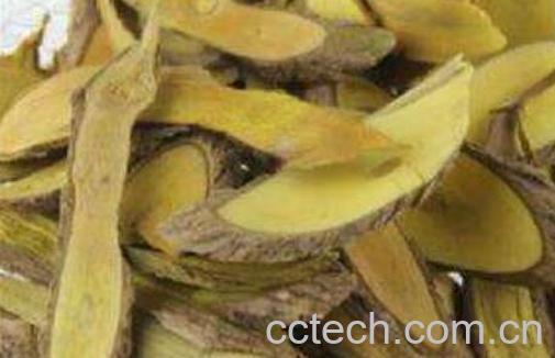 功劳木的功效与作用及禁忌-1