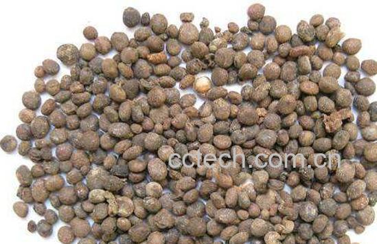 急性子泡酒的功效与作用-0