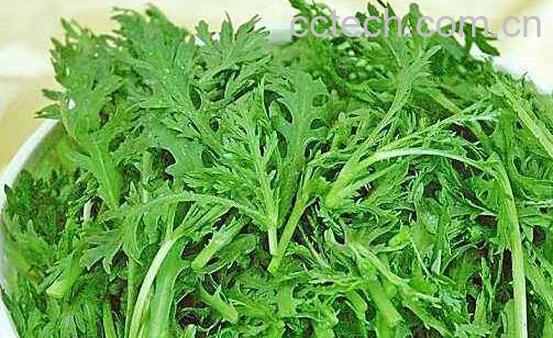 迷迷蒿是什么 迷迷蒿的药用价值-0