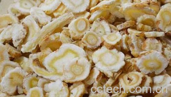 沙参可以怎么吃 新鲜沙参怎么吃-0