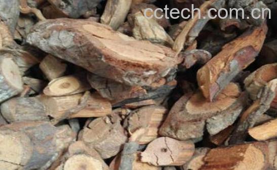 糯饭团根的功效与作用-1