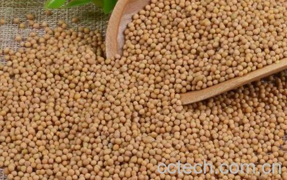 芥菜籽油的药用功效-0