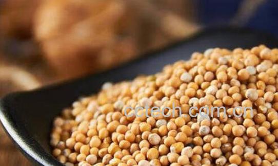 芥菜籽油的药用功效-1