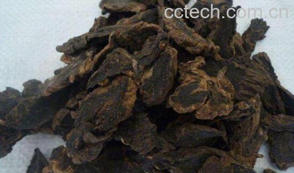 玄参的功效与作用及禁忌-1