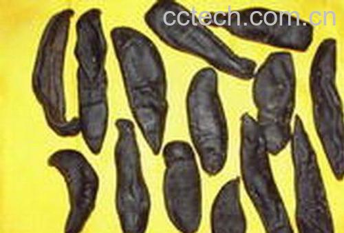 果蔬百科水蛭图片_水蛭的功效与作用-0