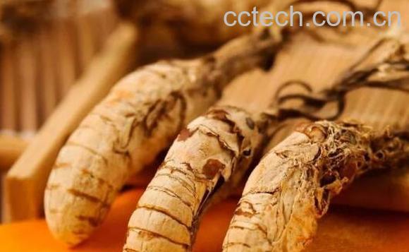 金蝉花的禁忌 金蝉花哪些人不能吃-0