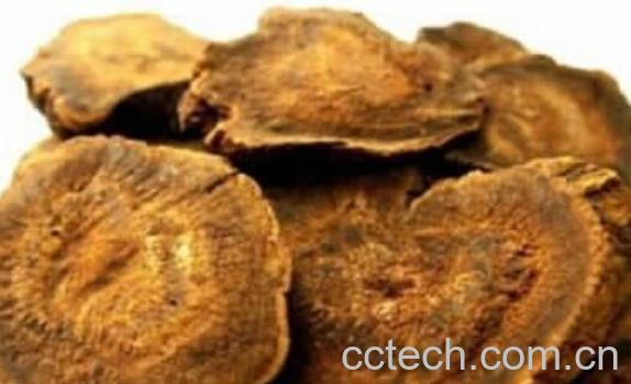 酒制大黄和大黄的区别-0