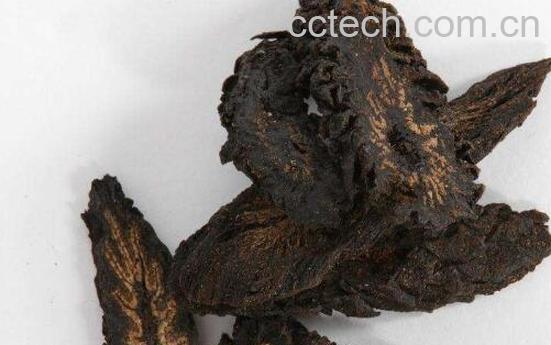 酒苁蓉泡水喝的功效与作用-1