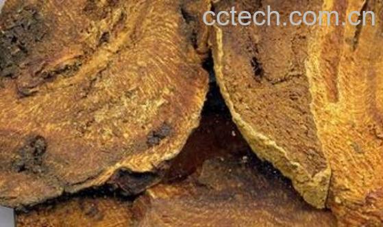 大黄的功效与作用及副作用-0