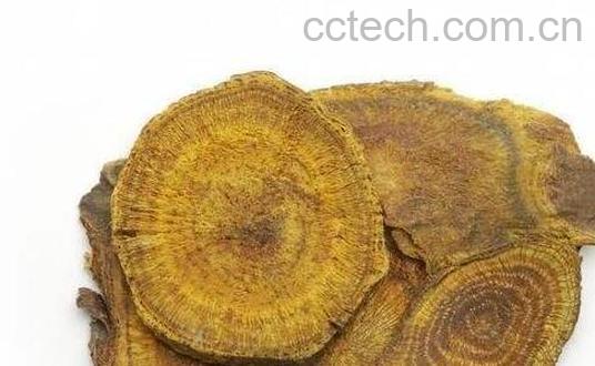 大黄的功效与作用及副作用-1