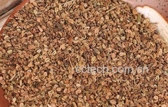 蛇床子壮阳的用法 蛇床子壮阳太强了-1