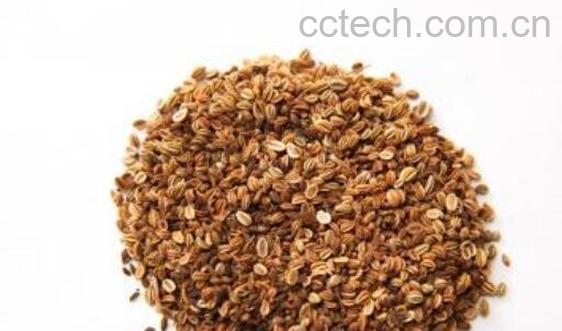 蛇床子的功效与作用及禁忌-1