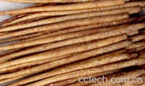 鲜牛蒡的吃法及禁忌-0