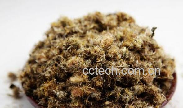 蜜旋覆花的功效与作用-1