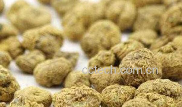 延胡索的功效与作用及副作用-0