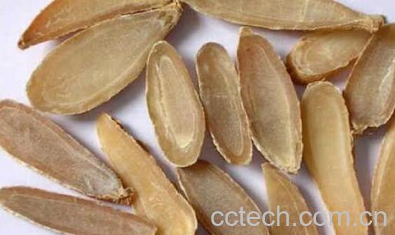 黄郁金的功效与作用-0