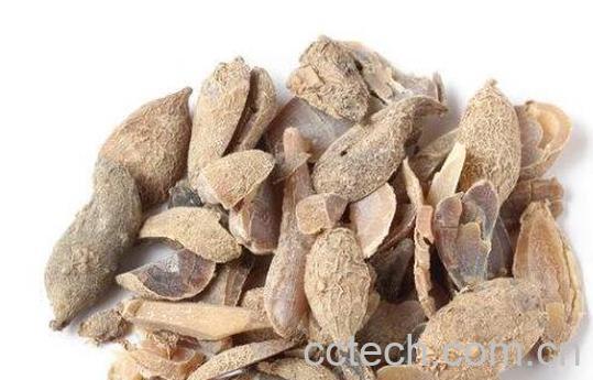 黄郁金的功效与作用-1