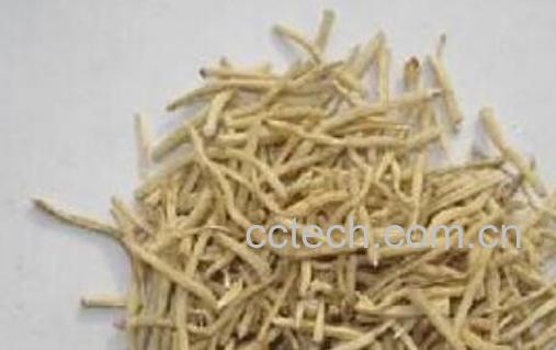 麦冬根须的作用和功效-0