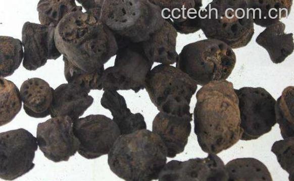 藕节炭的功效与作用及副作用-1
