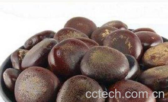 眼镜豆的功效与作用及药用价值-0