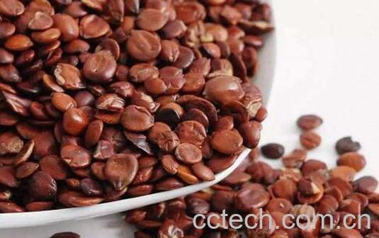 沙枣仁和酸枣仁的区别-1