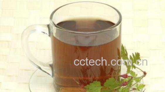 鱼腥草泡水喝的功效与药用价值-1