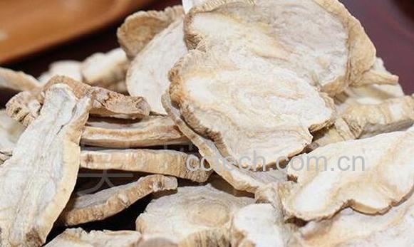 洋参的功效与作用及副作用-0