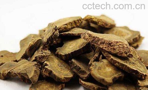 大黄的功效与作用及禁忌-0