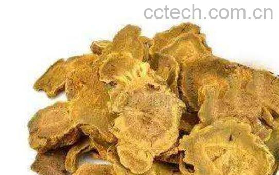 大黄的功效与作用及禁忌-1