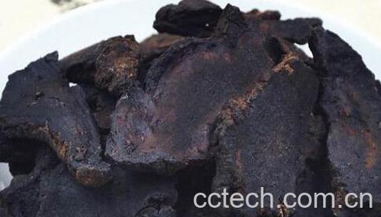 地黄炭的功效与作用及禁忌-0