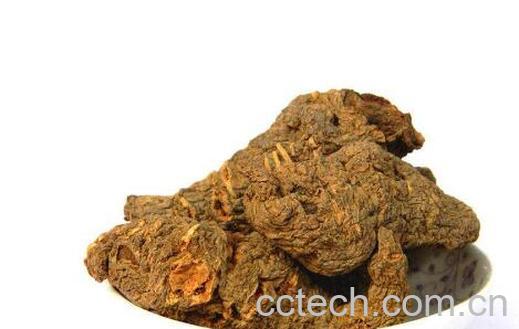 干地黄的功效与作用及禁忌-0