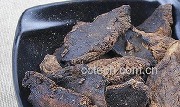 地黄炭的功效与作用及禁忌-1