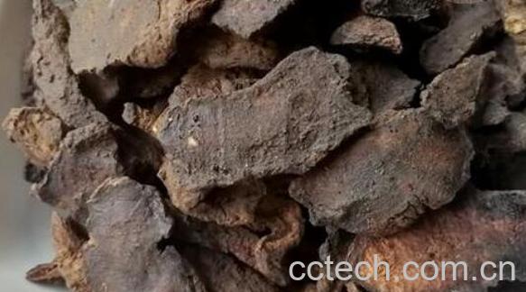 干生地的功效与作用及禁忌症-0